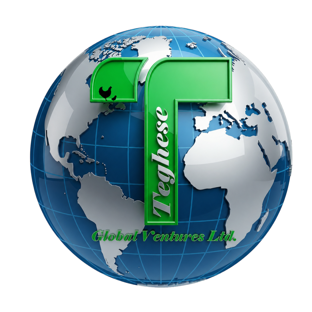 logo2-transparent 5